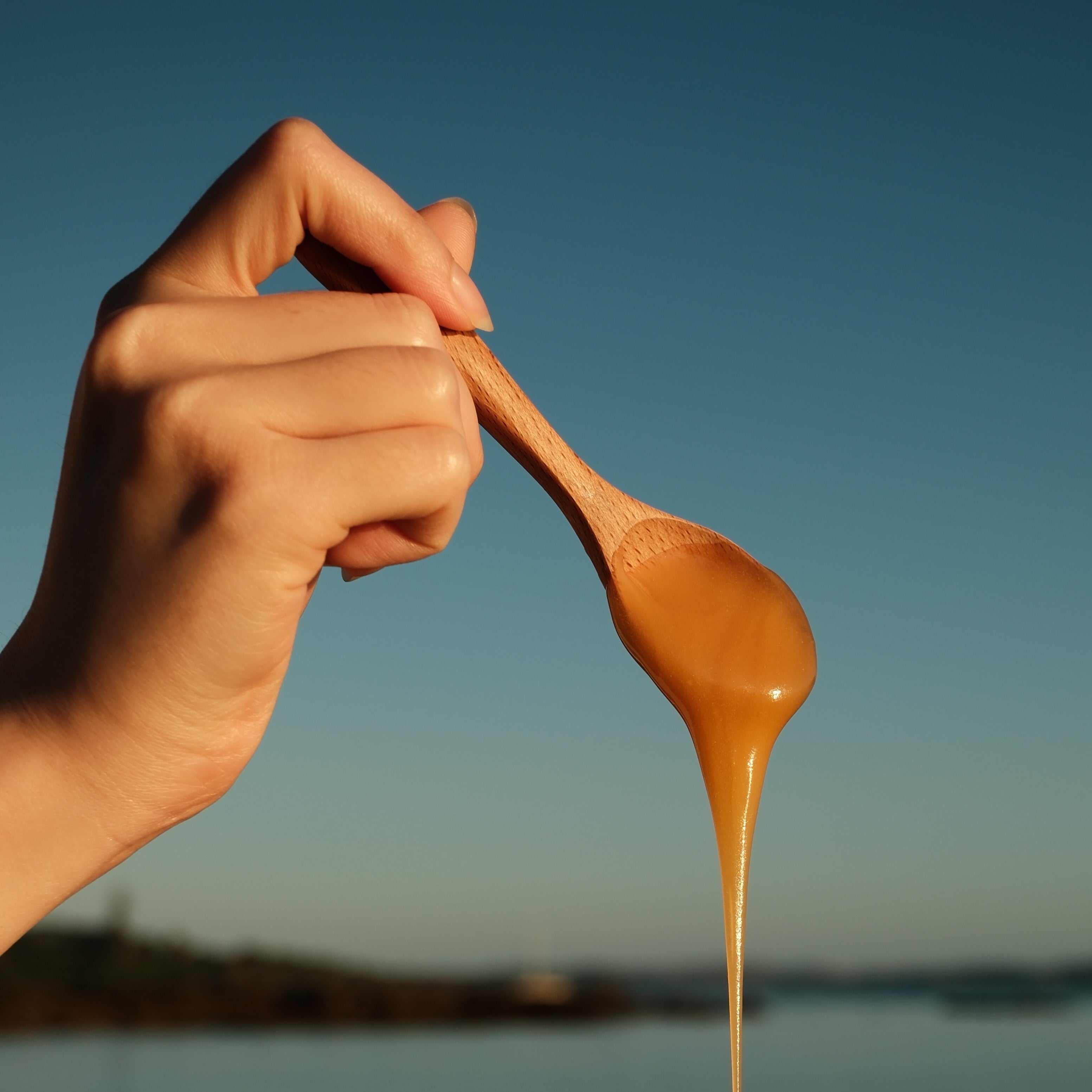 Manuka Honey Certifications: A Guide for Informed Consumers